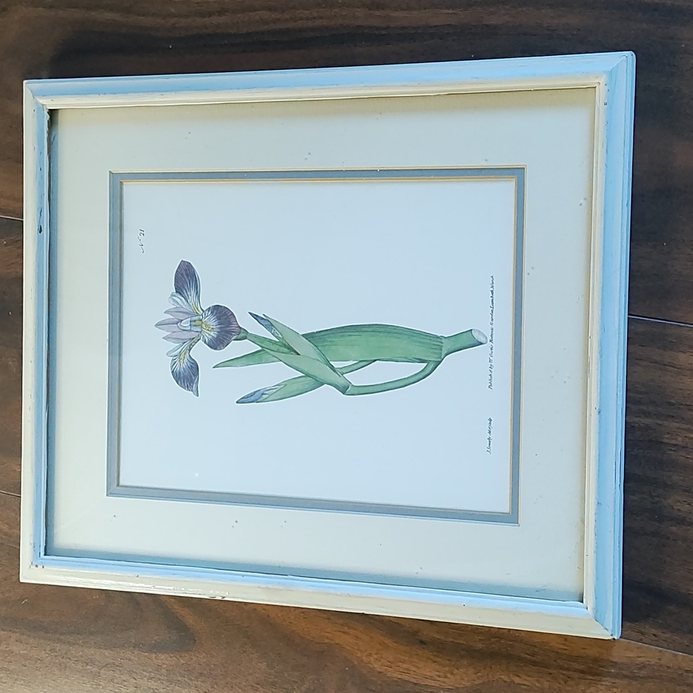 Orchid Botanical Framed Print